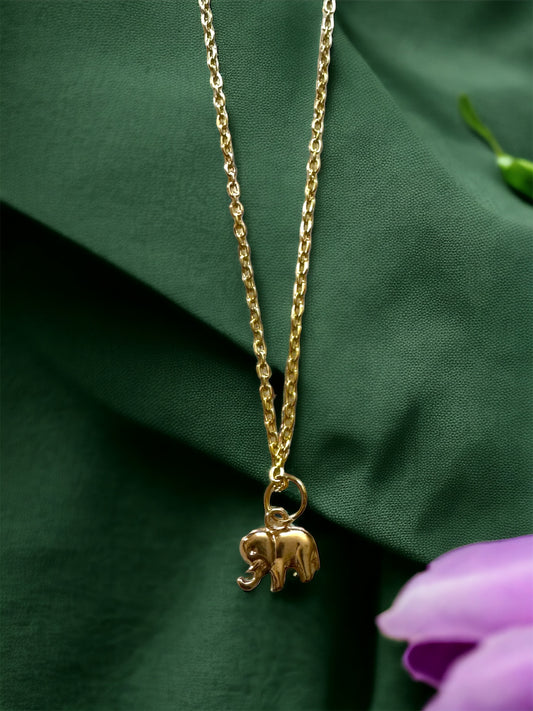 Elephant Charm Pendant Locket with Matching Chain Necklace